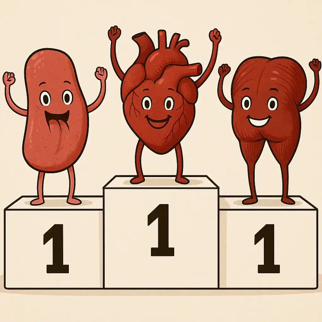 تصویر کارتونی قلب، زبان و گلوتئوس ماکسیموس روی سکوی قهرمانی که هر سه رتبه اول رو کسب کردن.